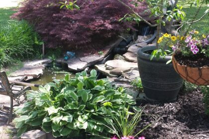 a garden filled with lots of different types of flowers