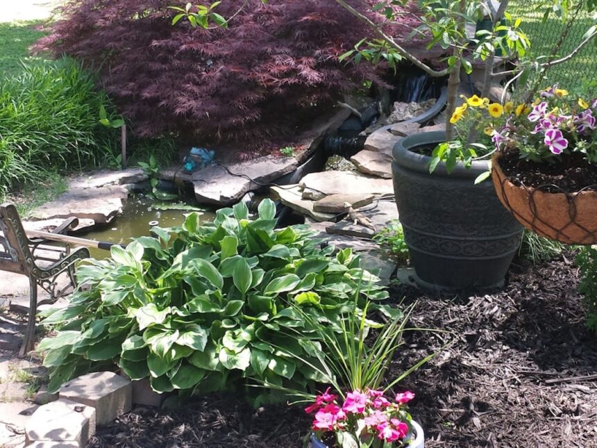 a garden filled with lots of different types of flowers