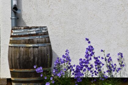 purple flowers on brown wooden barrel