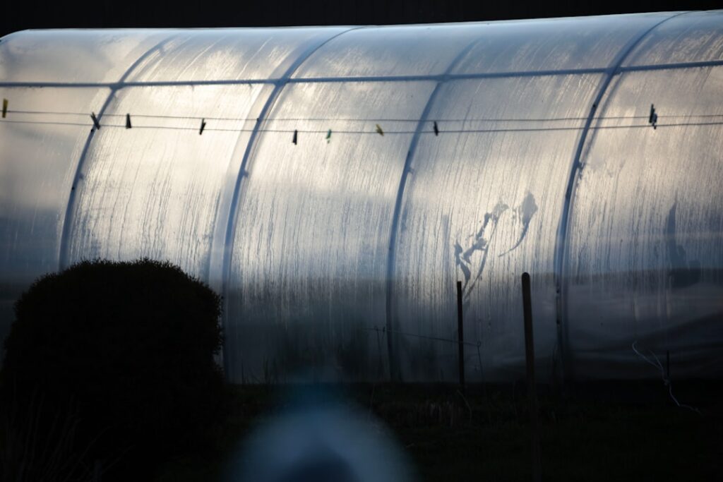A greenhouse with sunlight shining through its plastic