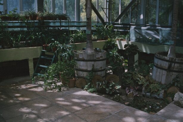 Greenhouse interior with lush plants and wooden barrels.