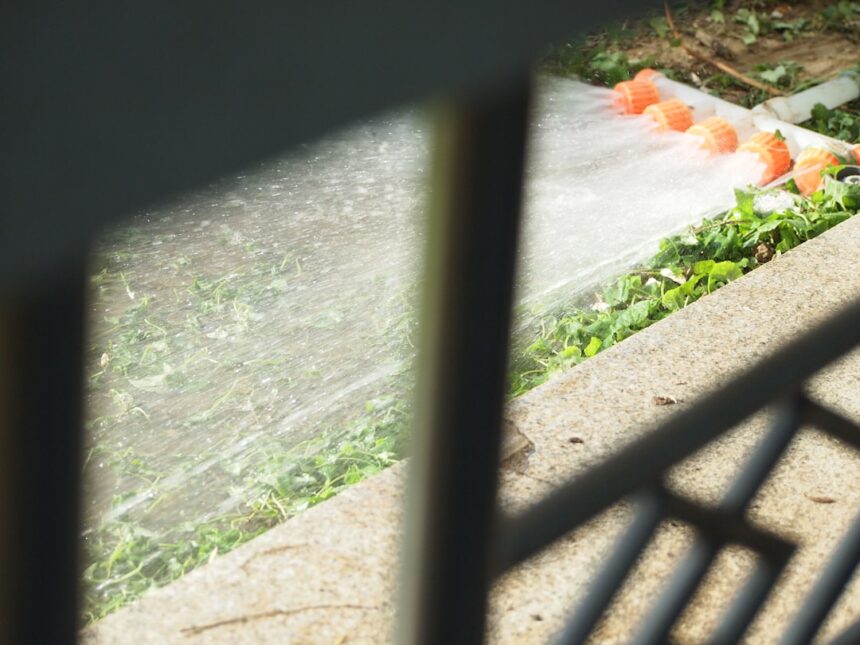 Watering plants with a hose on a sunny day