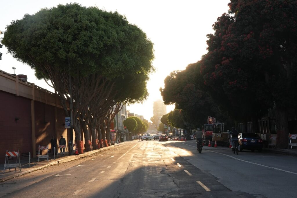 Street lined with trees at sunset with buildings in distance