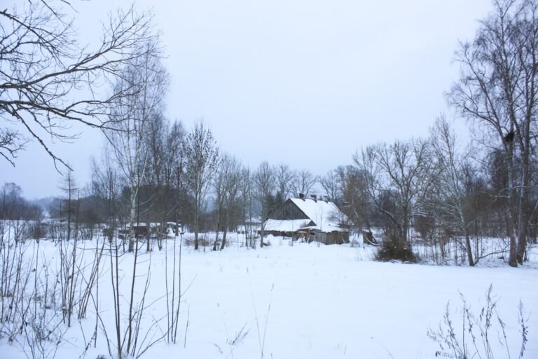 Snow-covered landscape with a rustic wooden house.