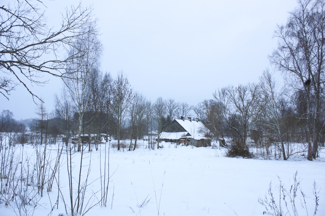 Snow-covered landscape with a rustic wooden house.