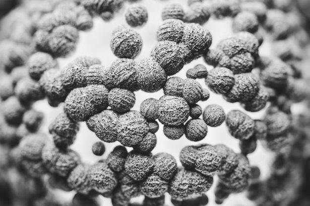black and white photograph of a bunch of balls