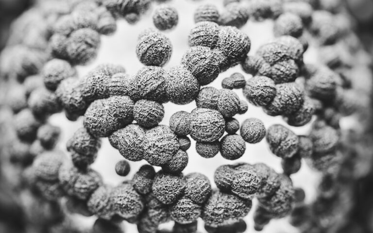 black and white photograph of a bunch of balls