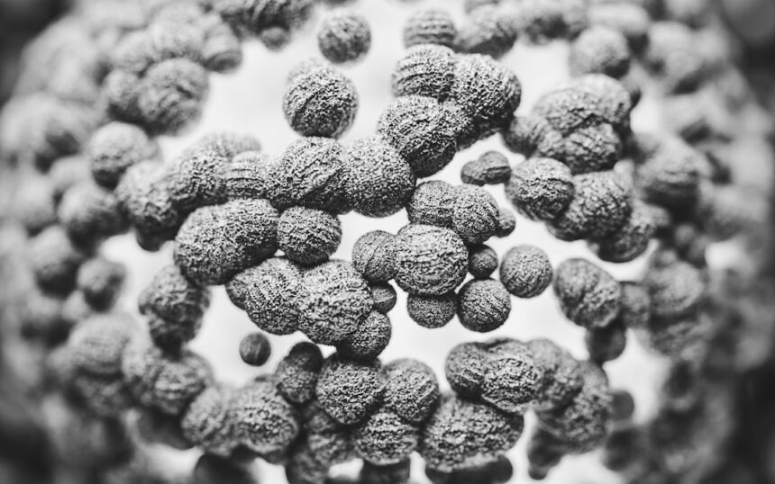 black and white photograph of a bunch of balls