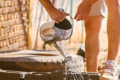 a person pouring water from a watering can into a garden