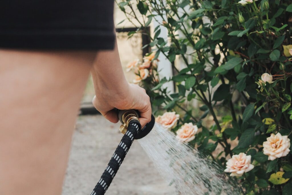 a person is holding a hose and spraying water