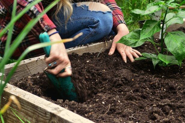 A person is digging soil in a raised garden bed.
