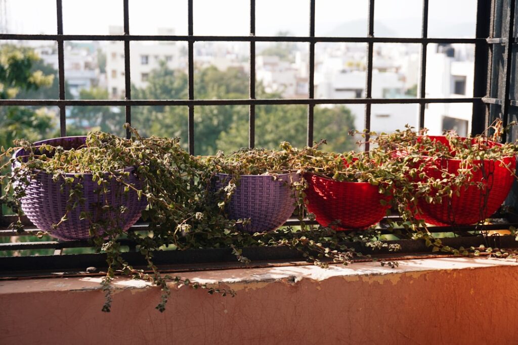 Hanging plants in colorful pots on a balcony railing.