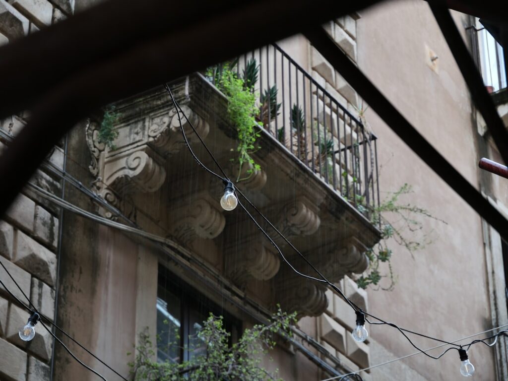 Balcony with plants and string lights on building