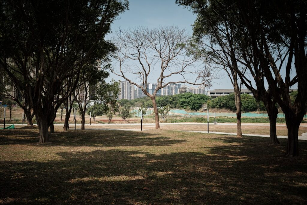 a view of a park with trees and buildings in the background