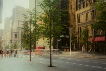 City street with blurred cars and trees.