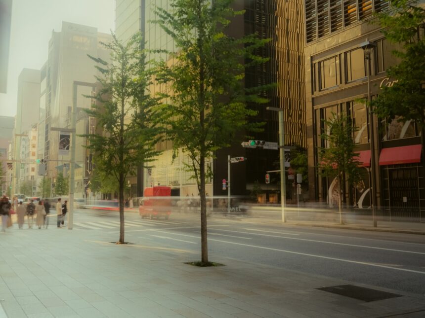 City street with blurred cars and trees.