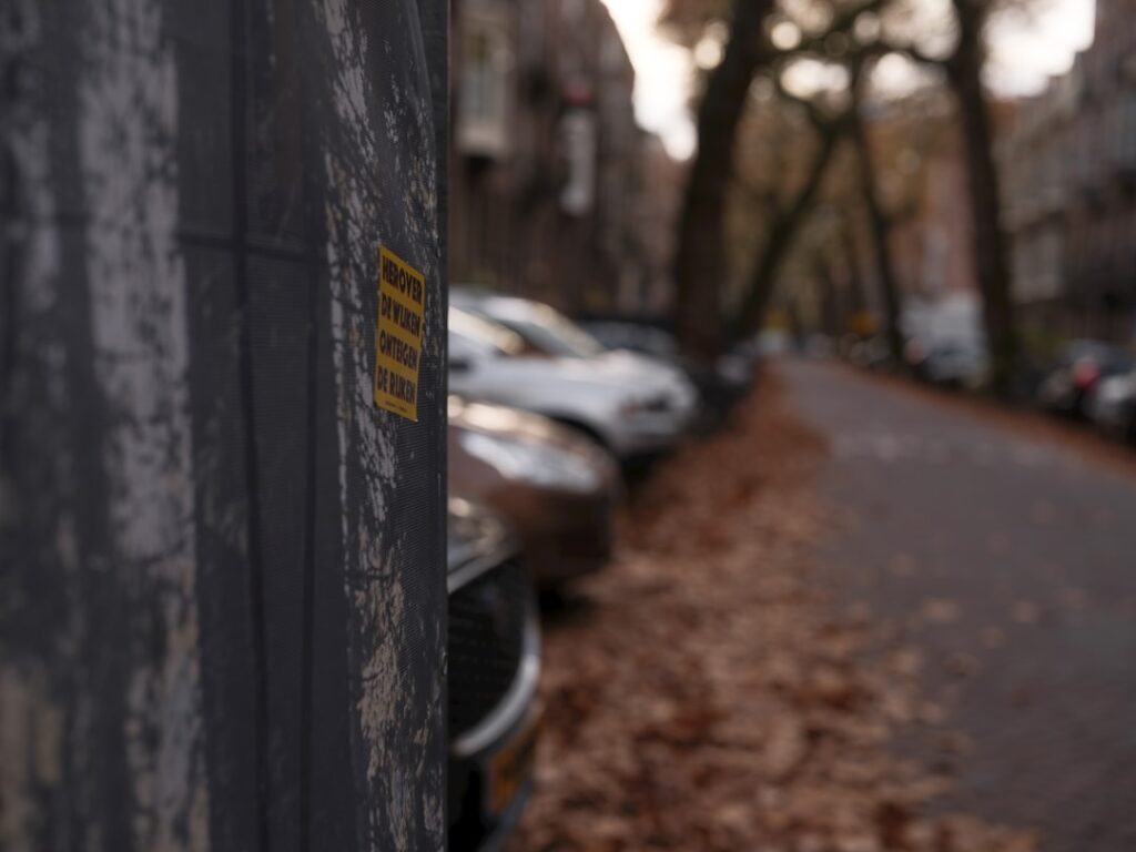 Cars parked along a tree-lined street with fallen leaves.