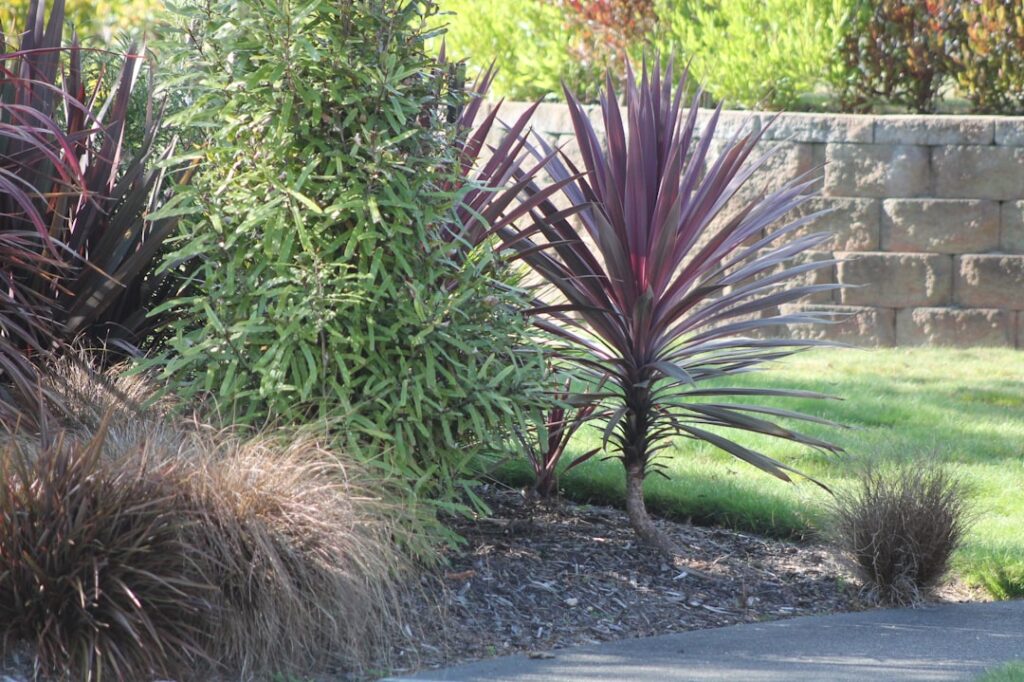 Lush garden with ornamental grasses and plants