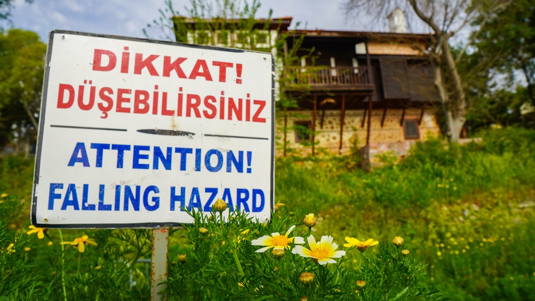 Kaip mulčiuoti daržą, kad piktžolės nedygstų ir dirva neišdžiūtų? Ką svarbu žinoti pavasarį