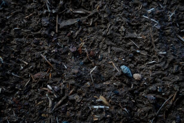 Close-up view of rich, dark soil with organic matter.