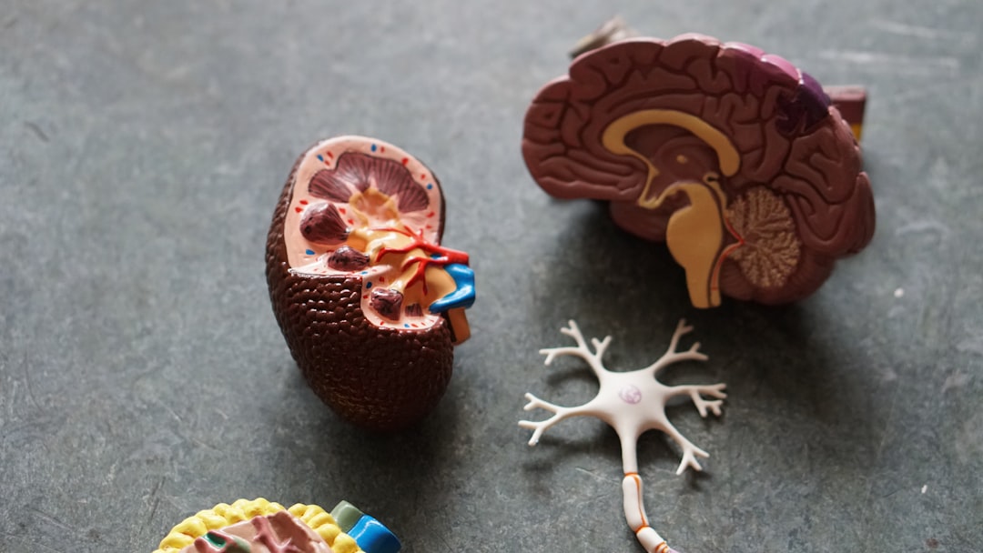 Kaip naujos smegenų ir kompiuterio sąsajos keičia mediciną? Mokslininkai artėja prie minčių vertimo
