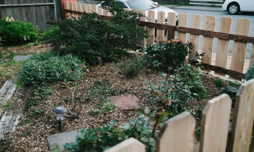 A small garden with a wooden fence and plants.