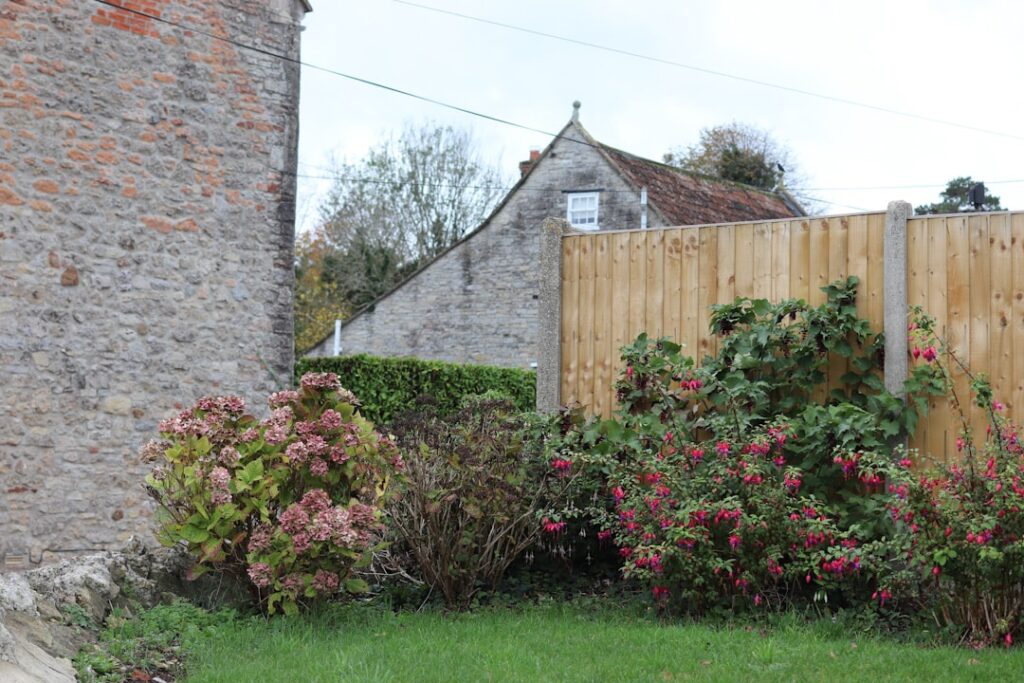 A wooden fence and garden plants beside a brick wall.