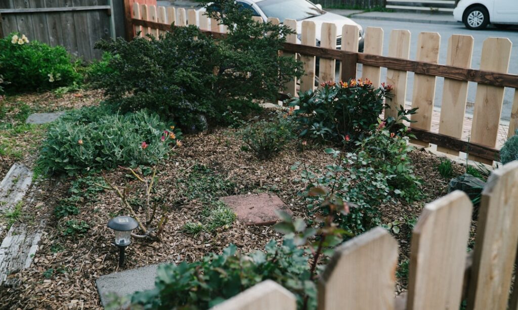 A small garden with a wooden fence and plants.