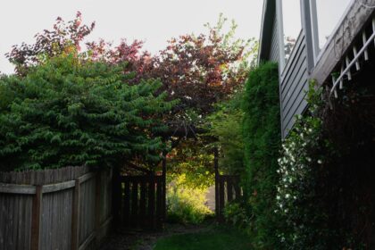 A wooden fence next to a house with a clock on it