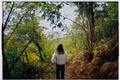 Person walking on a forest path with trees.