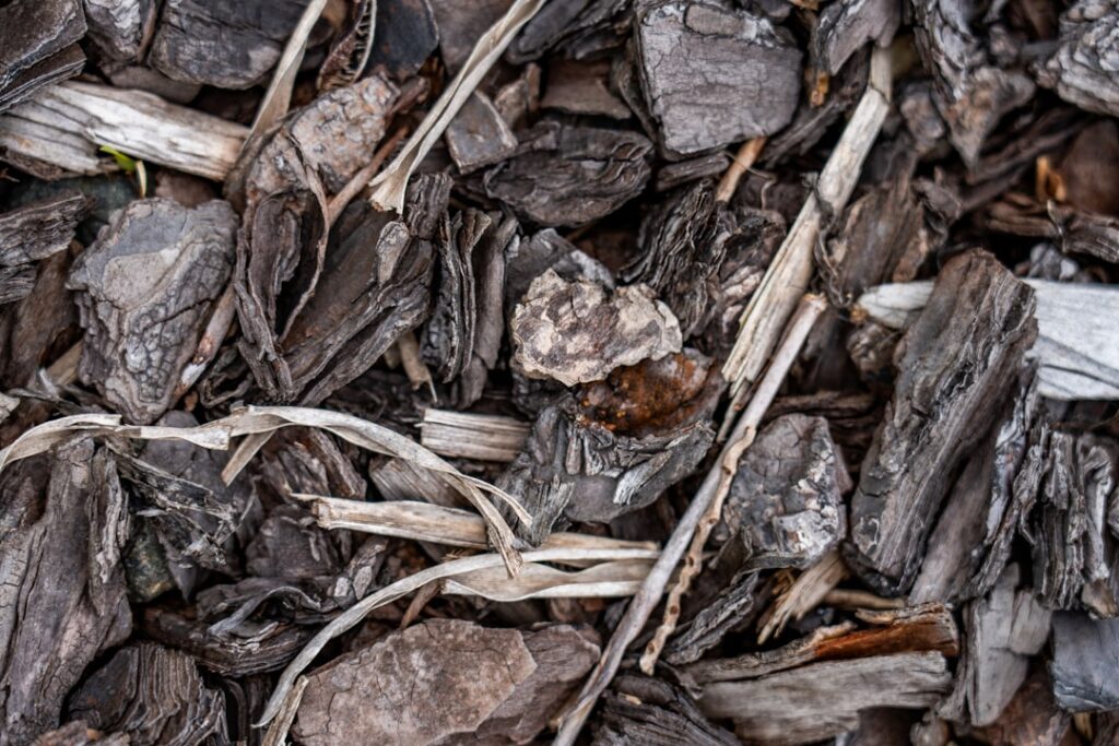 a close up of a pile of wood chips