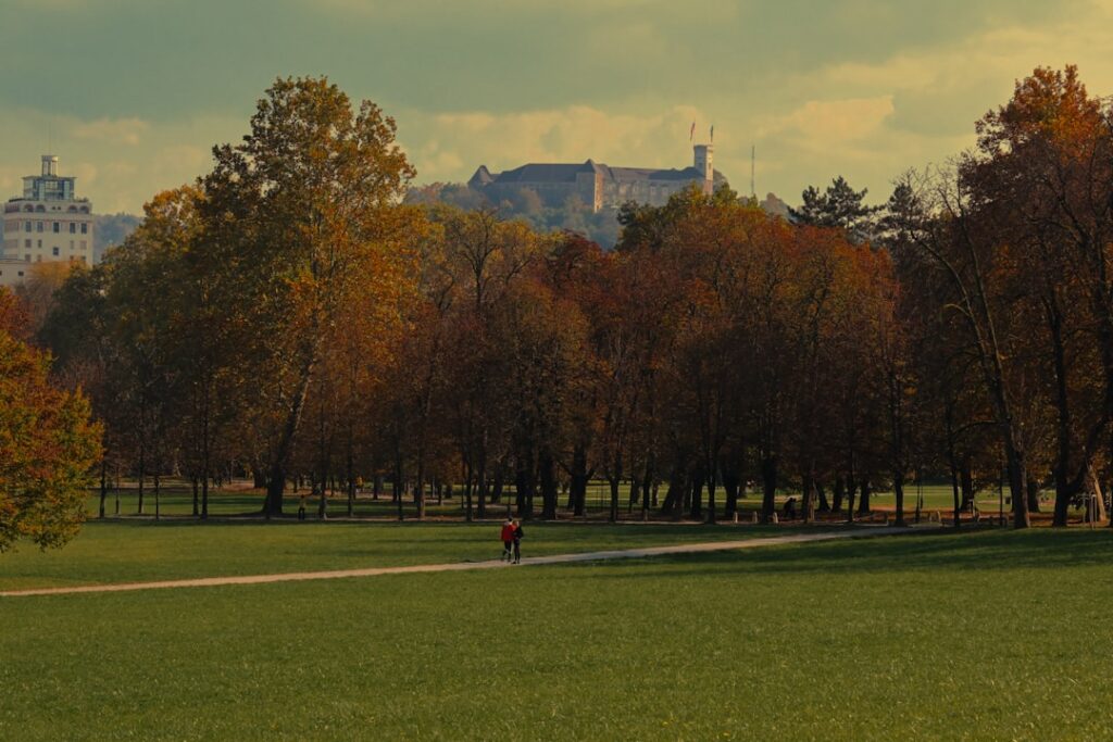 Person walking in park with autumn trees and castle.