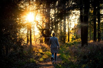 woman in gray coat walking on forest during daytime