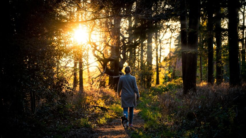 woman in gray coat walking on forest during daytime