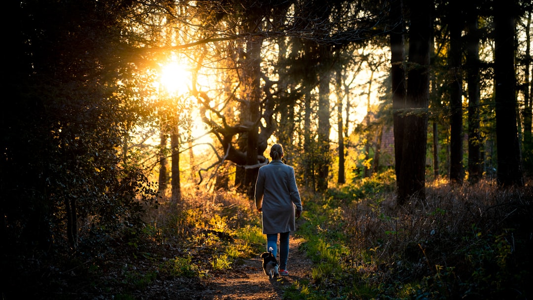 woman in gray coat walking on forest during daytime