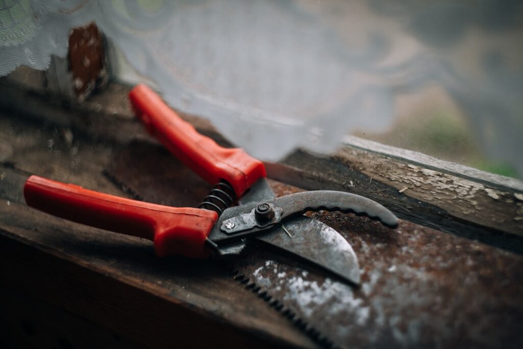 red pruning shears