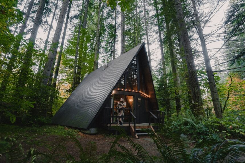 A small cabin in the middle of a forest