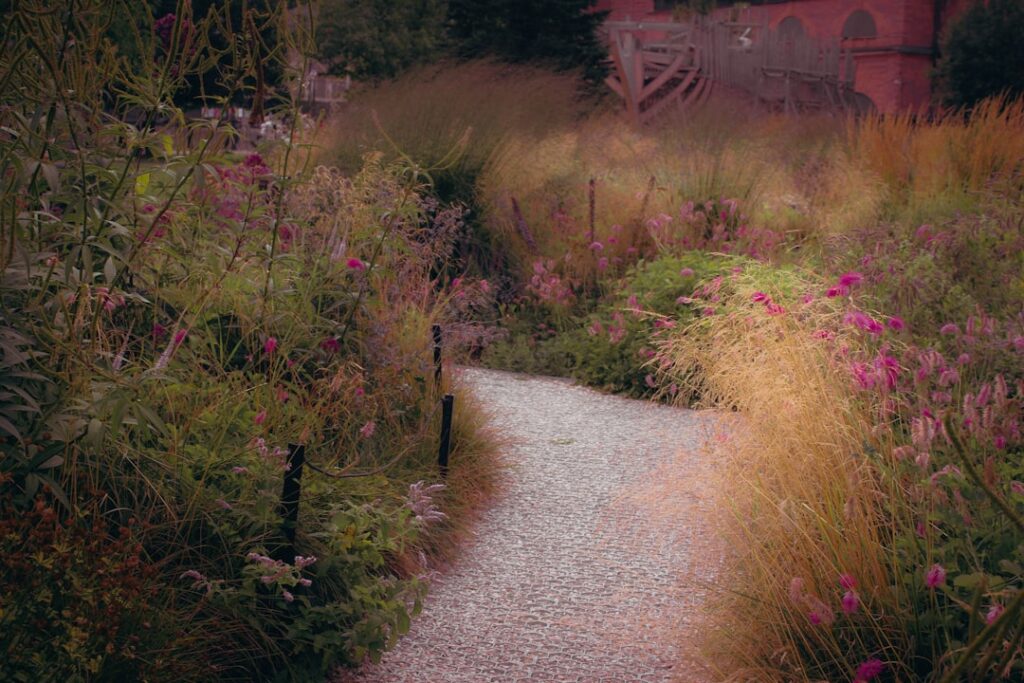 Gravel path through a garden with tall grasses.