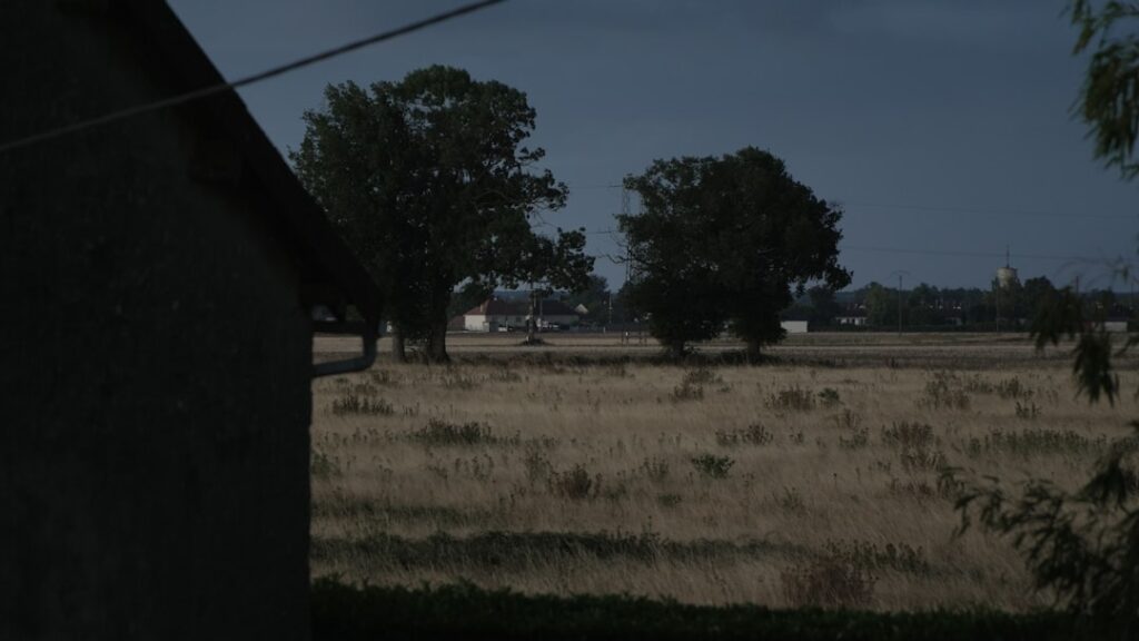 Rural field with trees and distant buildings at dusk