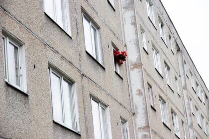 Red flowers hanging from apartment building window