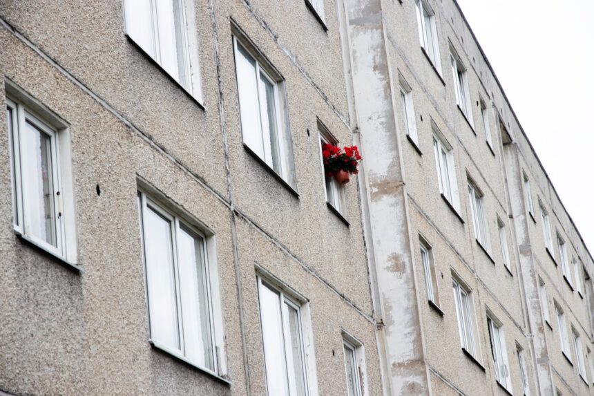 Red flowers hanging from apartment building window