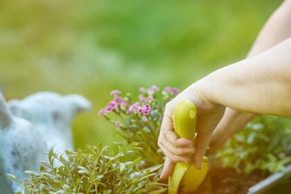Hands planting flowers in a garden bed.