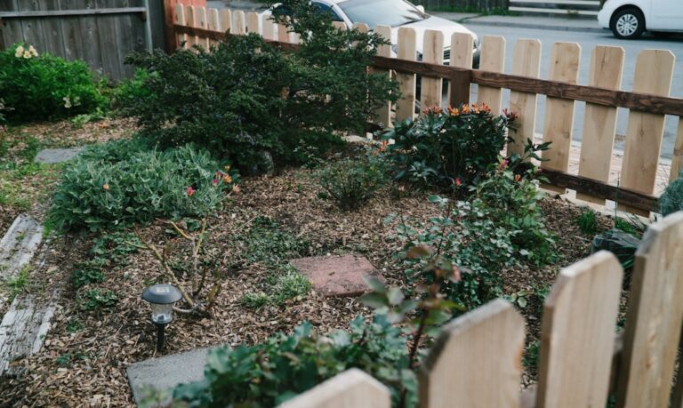 A small garden with a wooden fence and plants.