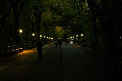 People walking on a park path at night
