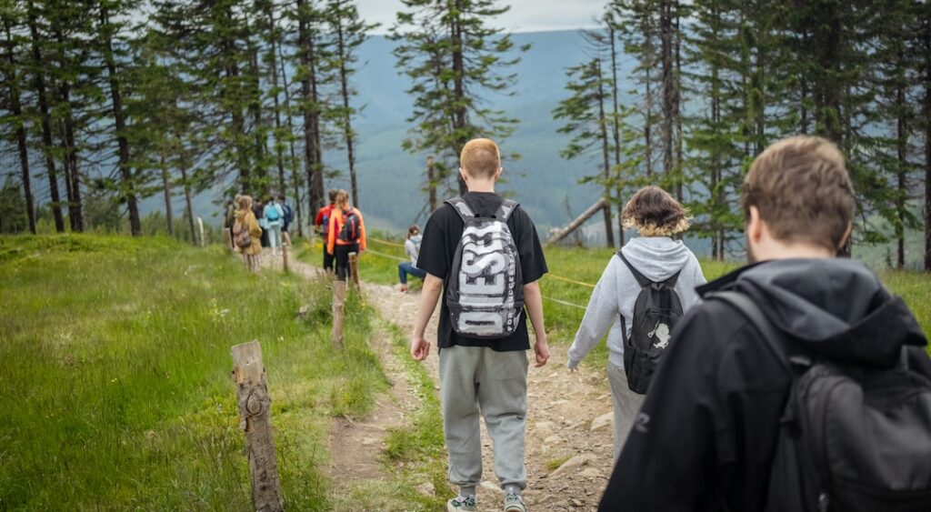 Group of hikers walking on a forest trail
