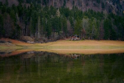 brown and white house near green trees and lake during daytime
