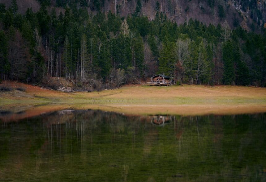 brown and white house near green trees and lake during daytime