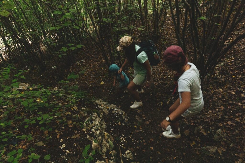 Three people hiking on a wooded trail