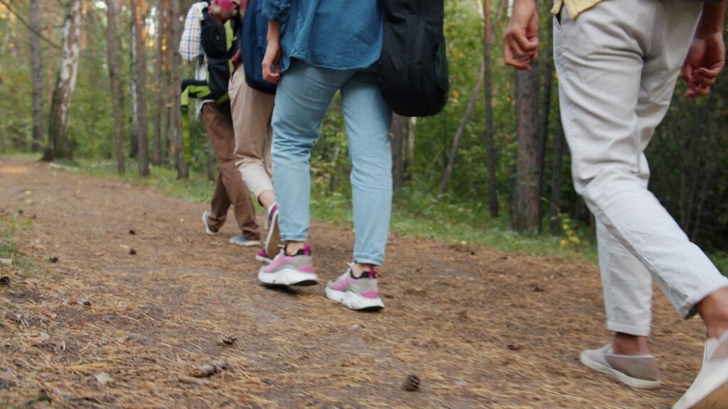 Group of people walking on a forest path.