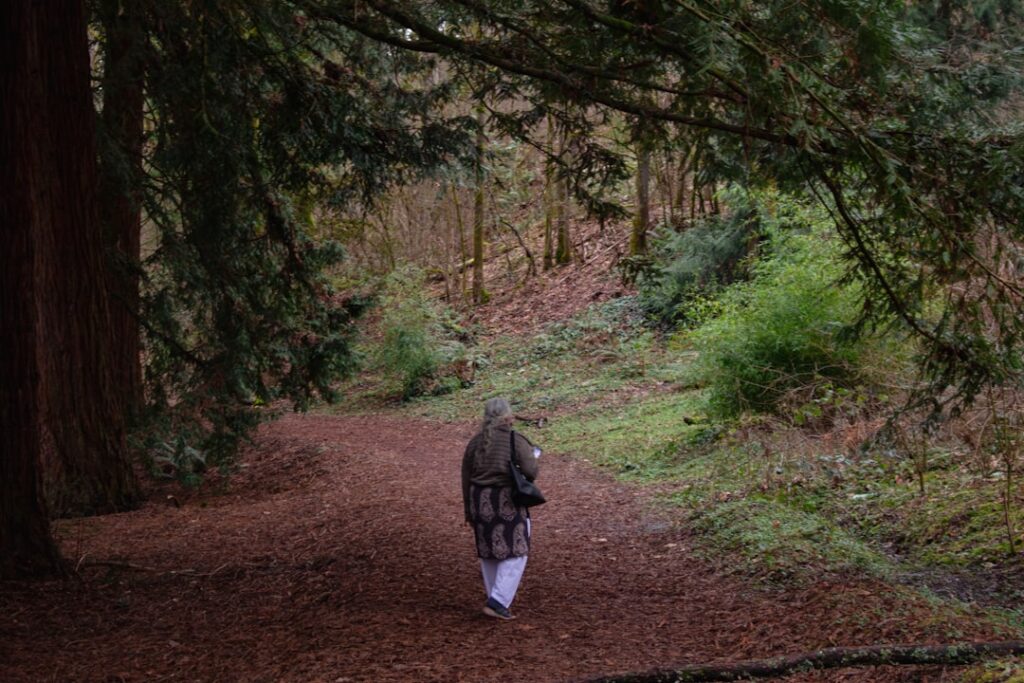 Person walking alone on a forest path.